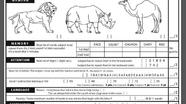 what is moca cognitive assessment